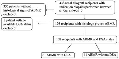 Differential Treatment Effects for Renal Transplant Recipients With DSA-Positive or DSA-Negative Antibody-Mediated Rejection